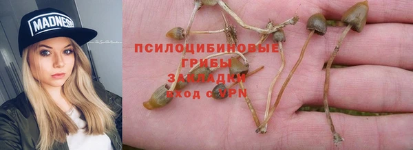 гидропоника Аркадак