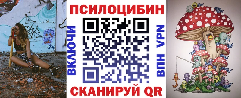 купить   Сретенск  Галлюциногенные грибы MAGIC MUSHROOMS 
